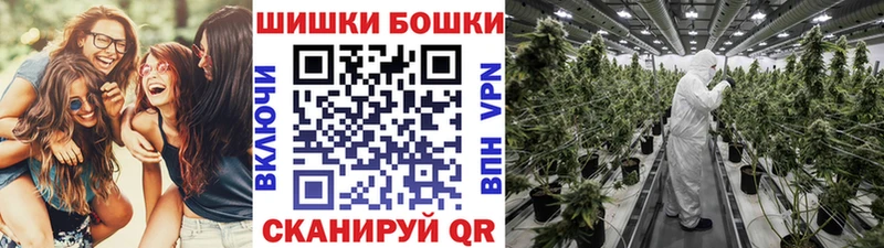 наркотики Подпорожье МЕГА Бошки Шишки конопля